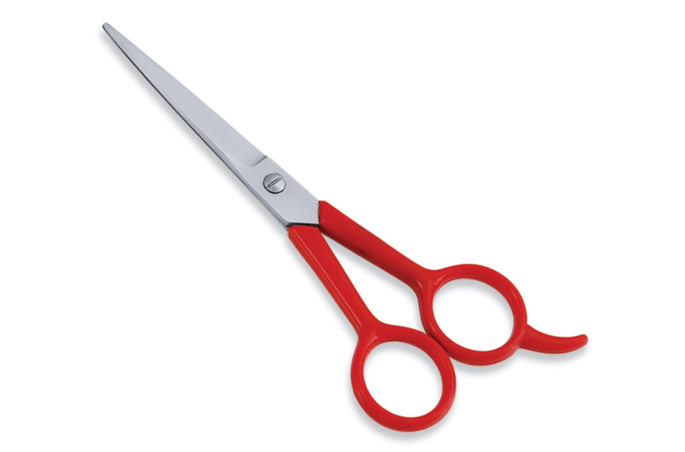 Economy Hair Scissors