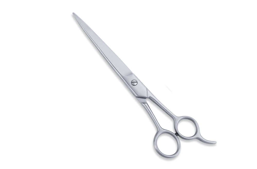 Economy Hair Scissors