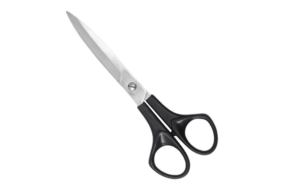 Economy Hair Scissors